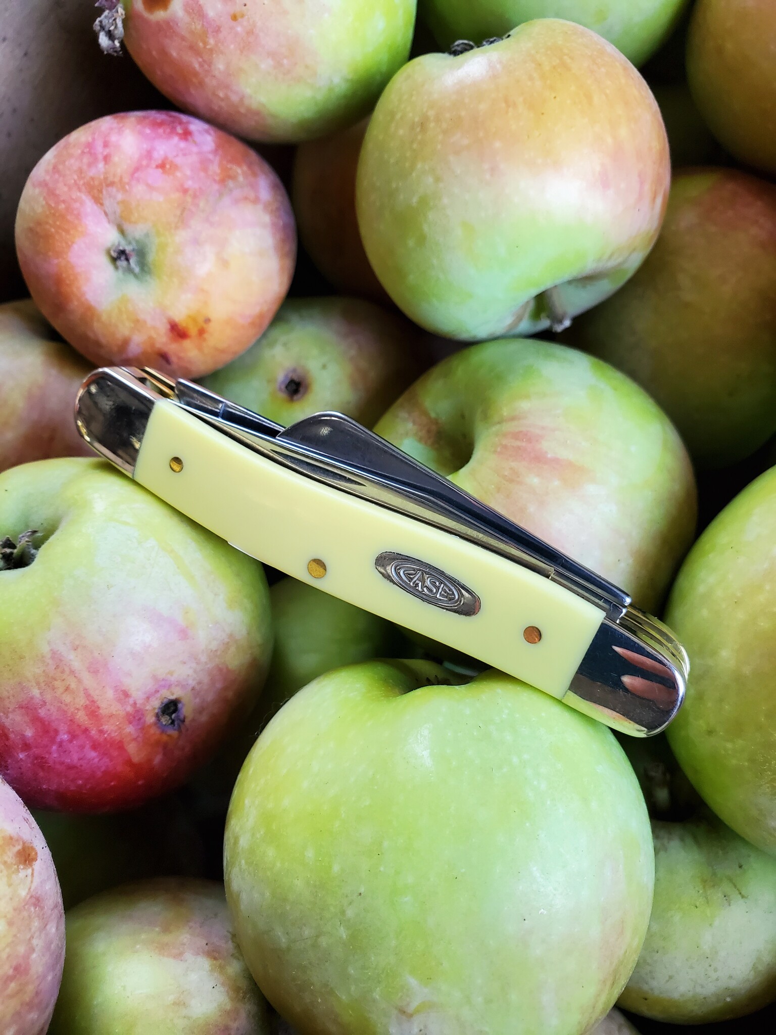 Case knife at an apple orchard in Julian California