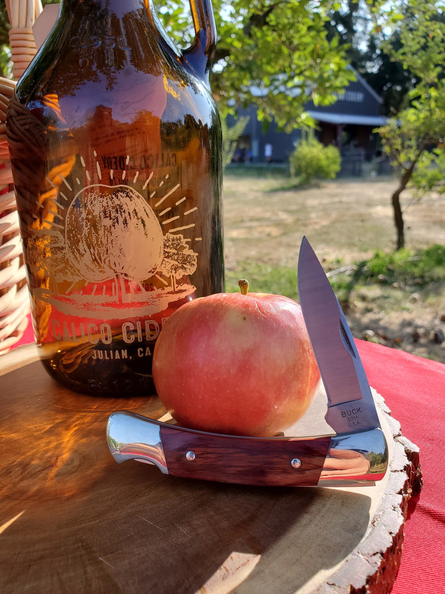 Wooden old Buck knife on a picnic table