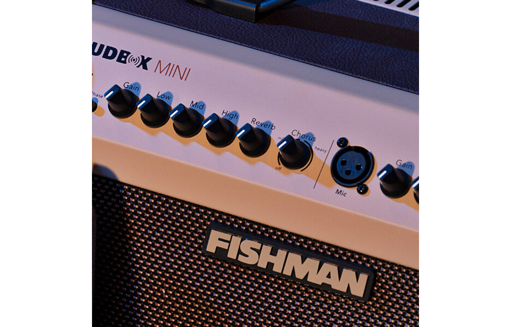 Fishman - Amplificateur LOUDBOX Mini 60W