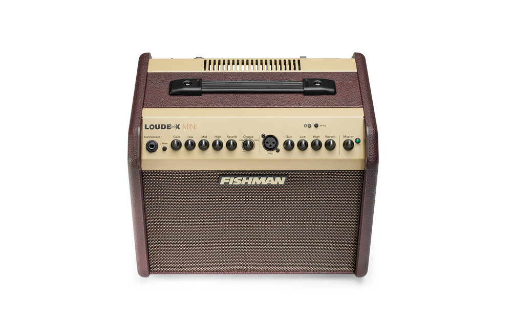 Fishman - Amplificateur LOUDBOX Mini 60W