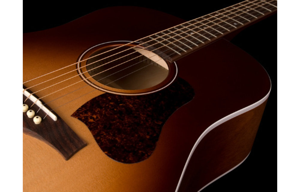 Seagull - Entourage Autumn Burst - Acoustic guitar