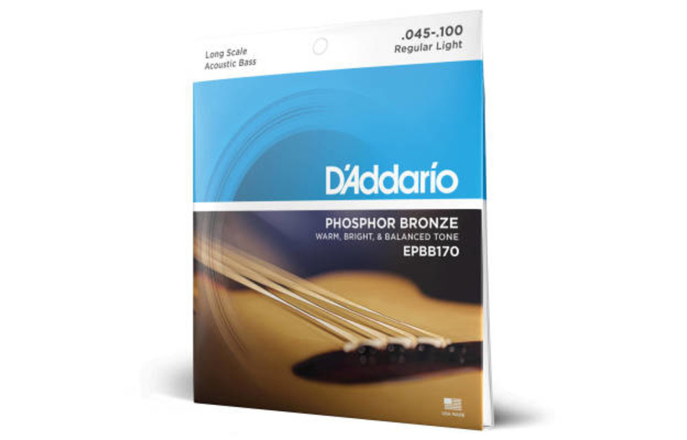 D'Addario strings Acoust Bass 45-100