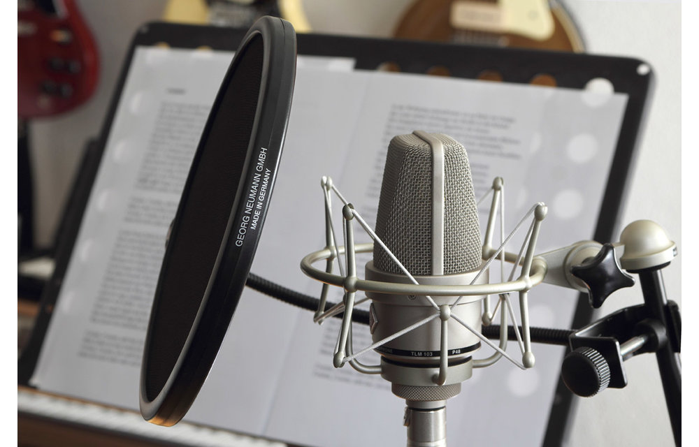 Neumann - TLM 103 Condenser Microphone