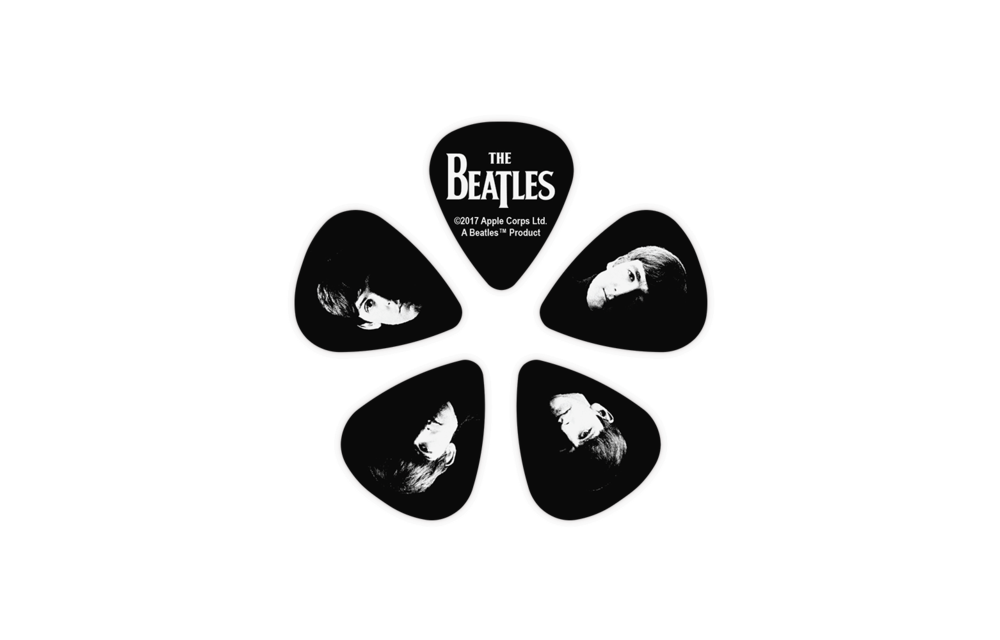 D'addario - 10 Meet The Beatles Picks