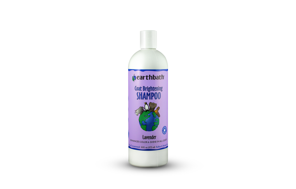 Earthbath Coat Brightening Shampoo