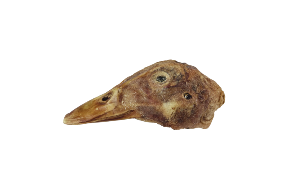 Freeze-Dried Duck Head