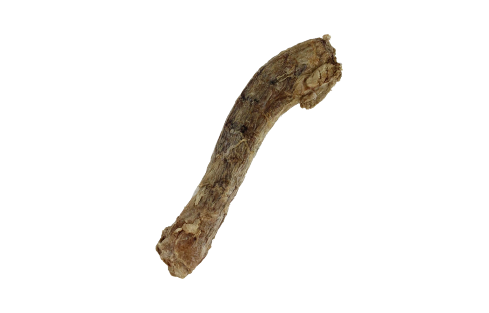 Freeze-Dried Duck Neck