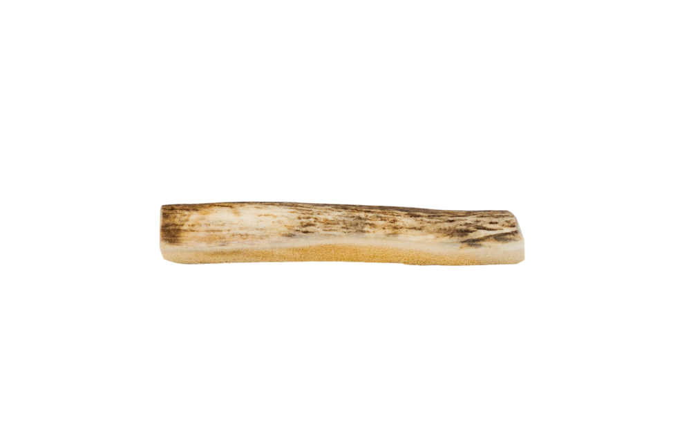Primal Moose Antler