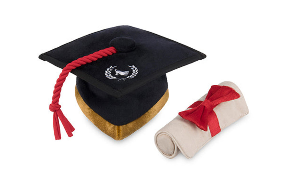 P.L.A.Y. Graduation Hat & Diploma