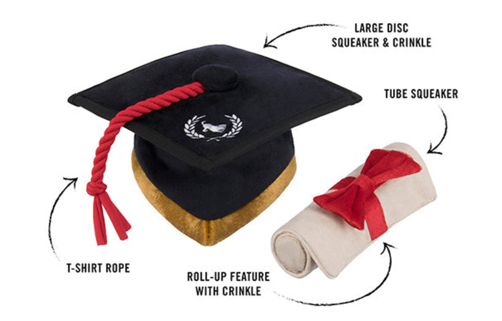 P.L.A.Y. Graduation Hat & Diploma