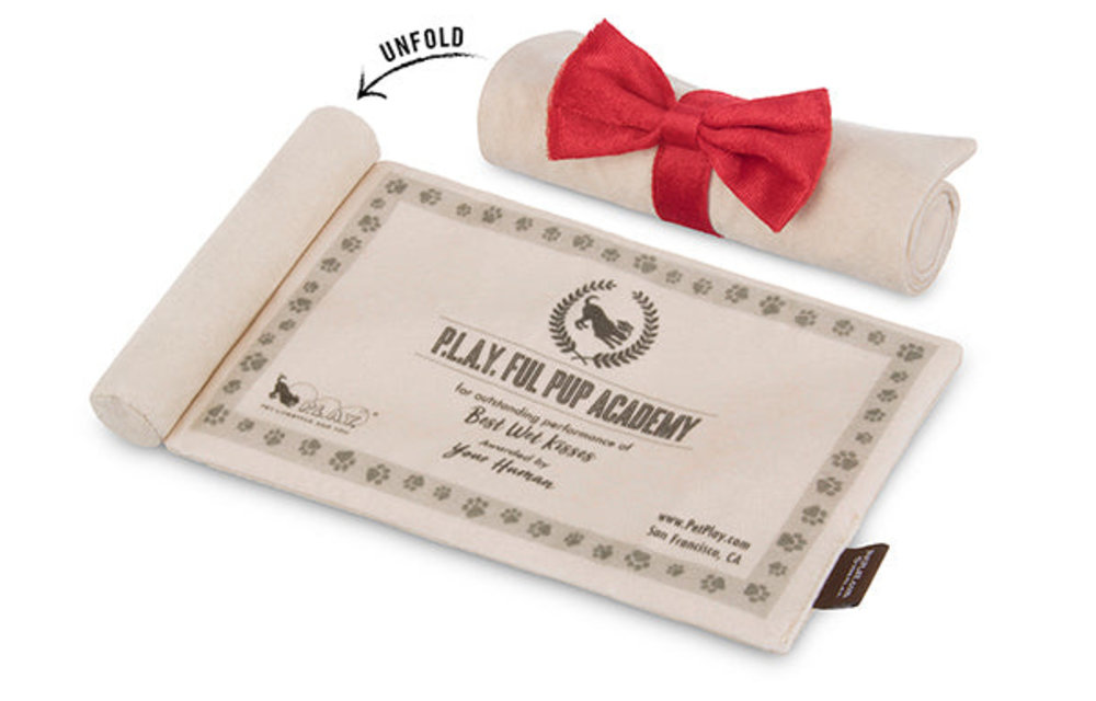 P.L.A.Y. Graduation Hat & Diploma