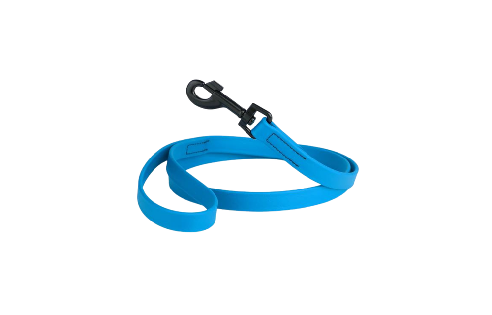 Dogline Biothane Leash Blue