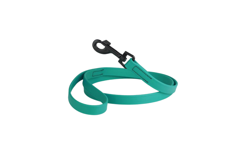 Dogline Biothane Leash Teal