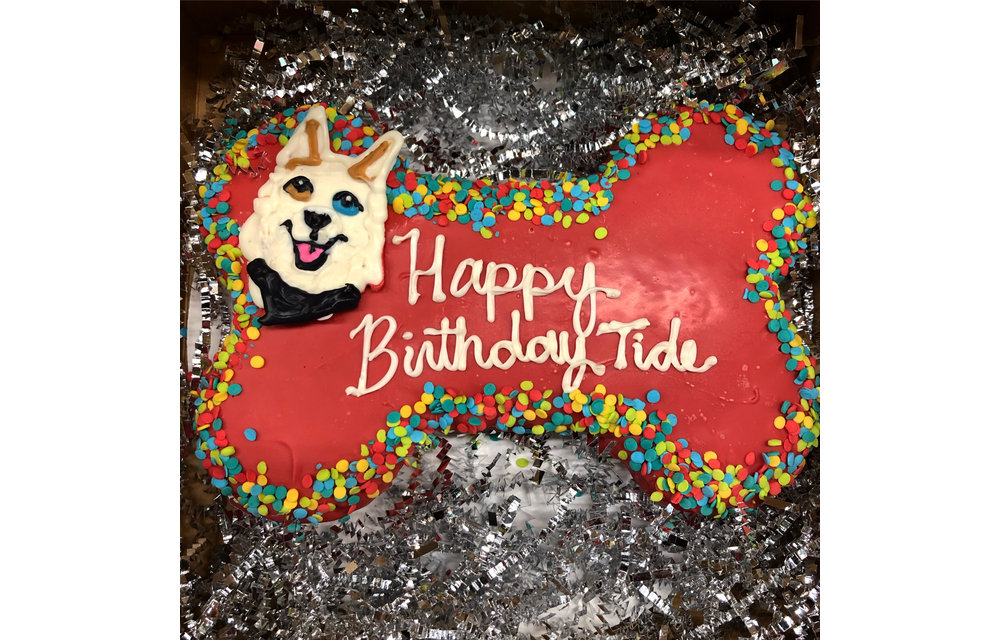 Lucky Dog Edible Portrait Confection
