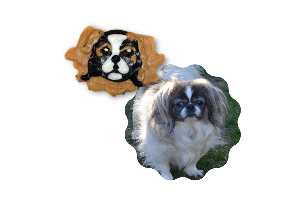 Lucky Dog Edible Portrait Confection