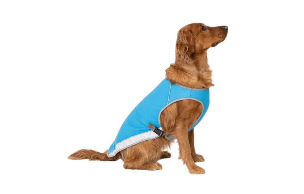 Canada Pooch Cooling Vest Blue