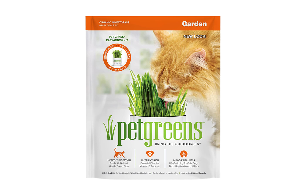 Pet Greens Garden Self Grow Kit