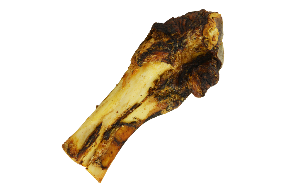 Jones Slammer Bone