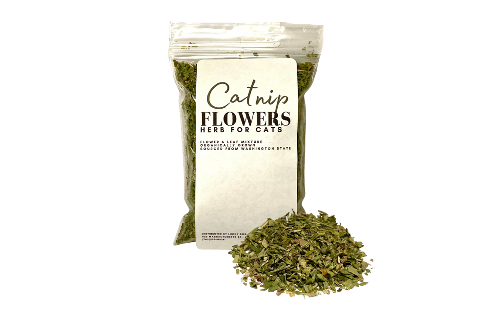Lucky Dog Catnip Leaf Flower .4oz