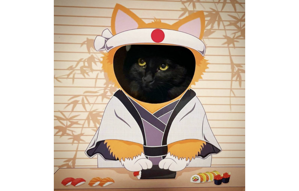 Doyen Cat Sushi Funbox
