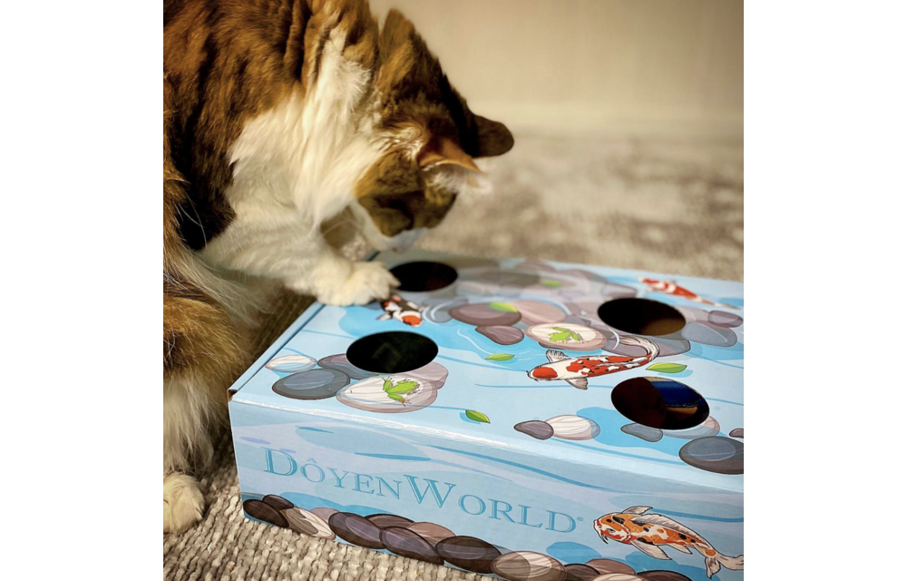 Doyen Cat Koi Pond Puzzlebox