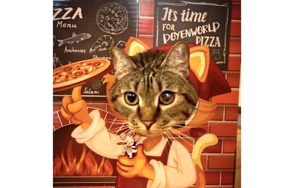 DJ Cat Pizza – Ferrara Box