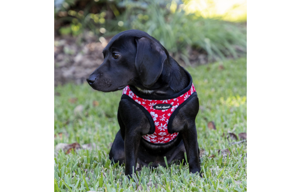 Bark Appeal Step-In Harness Hibiscus Pink