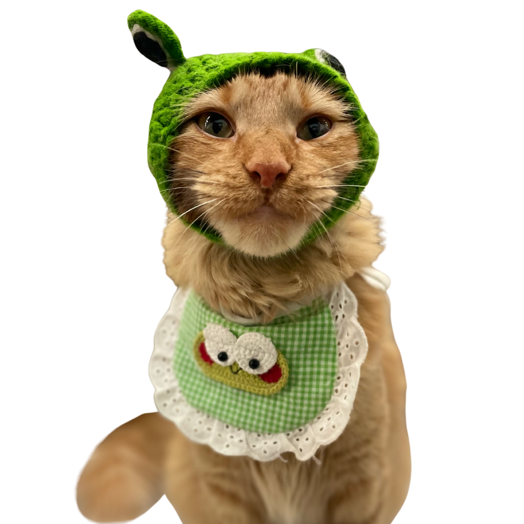 Cat Clothing & Apparel