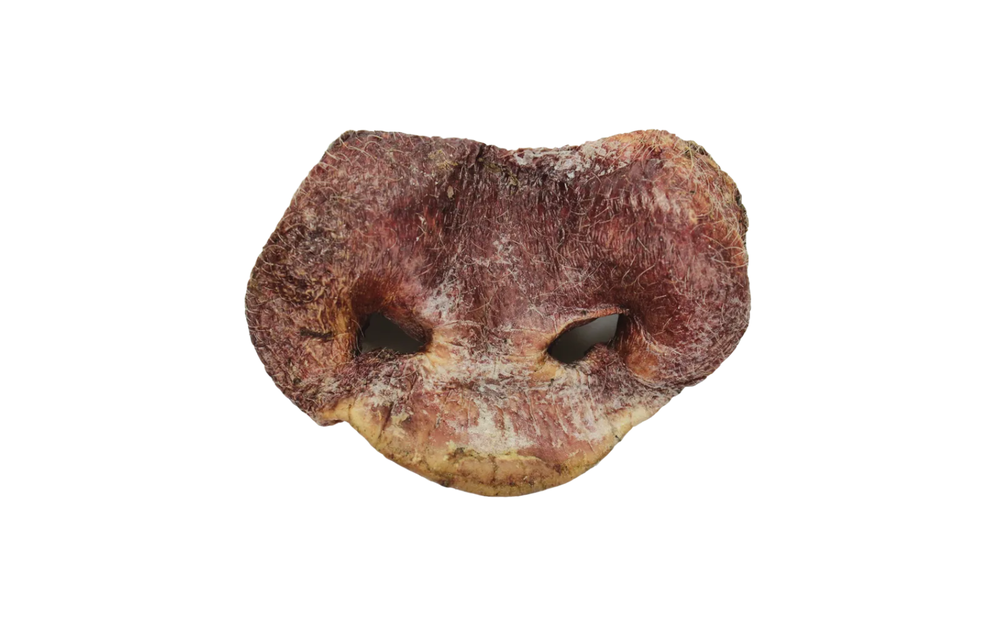 Vital Essentials Freeze-dried Pig Snout