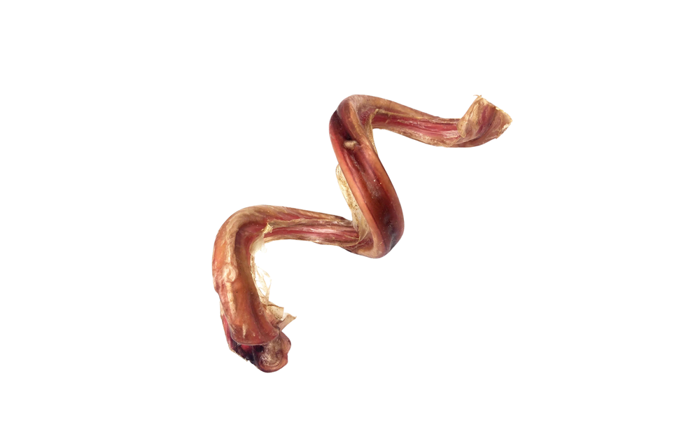 Natural Dog Co Curly Bully 5"
