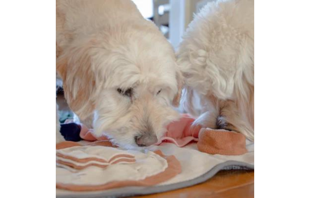 Injoya Dinner Table Snuffle Mat