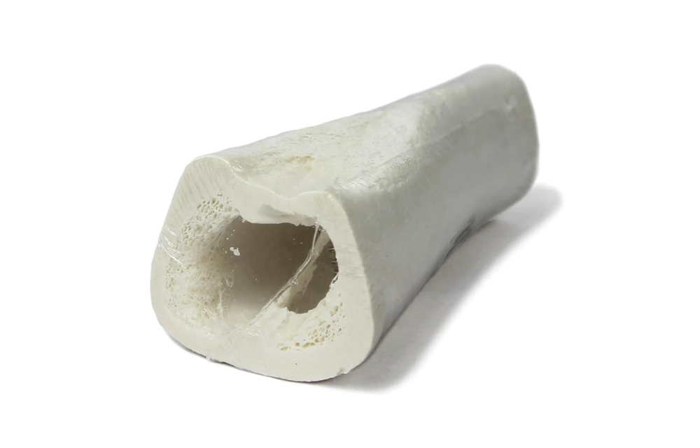 Natural Dog Unfilled Shin Bone 5"