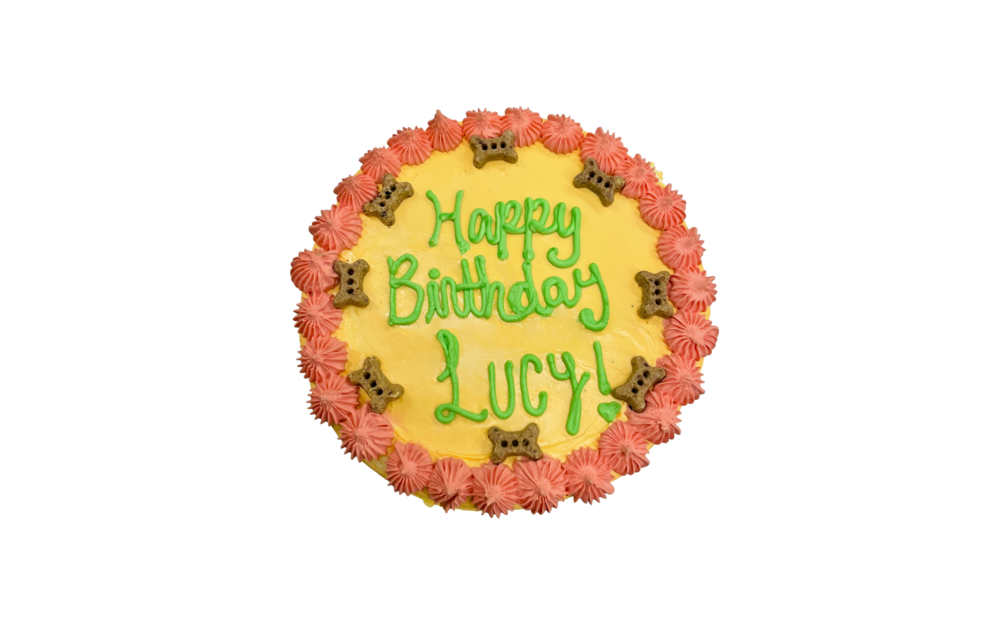 Lucky Cake - YouTube