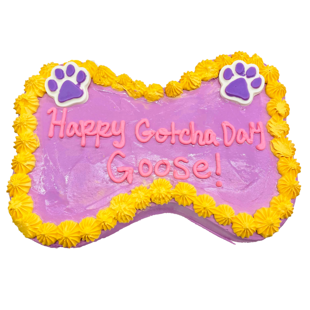 Cake 4 Bone 6″ – for Shipping Only | Happy Dog Barkery