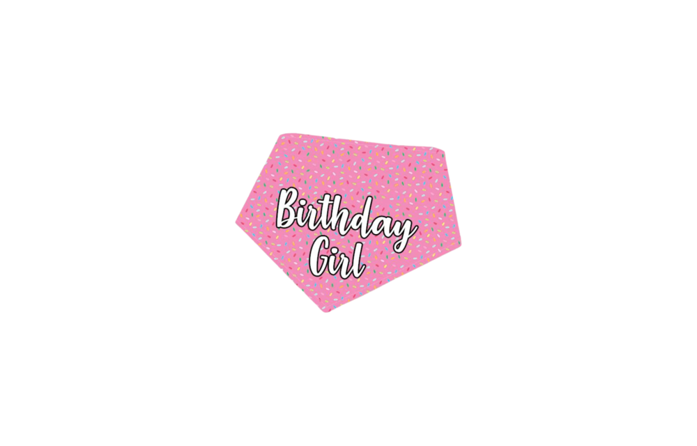 BibbyBubby Birthday Girl Bandana