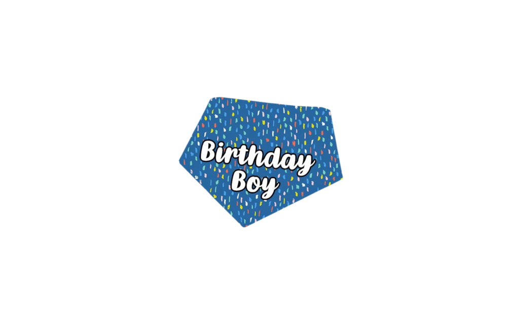 BibbyBubby Birthday Boy Bandana