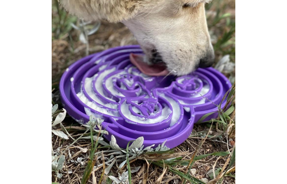 Soda Pup Water Frog Enrichment Tray Purple