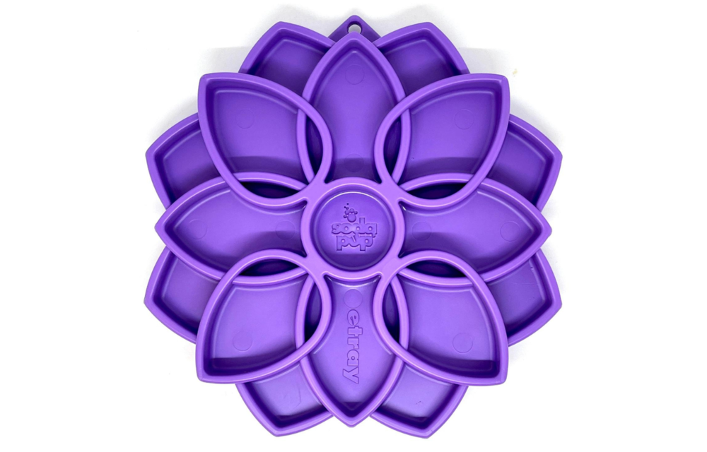 Soda Pup Mandala Enrichment Tray
