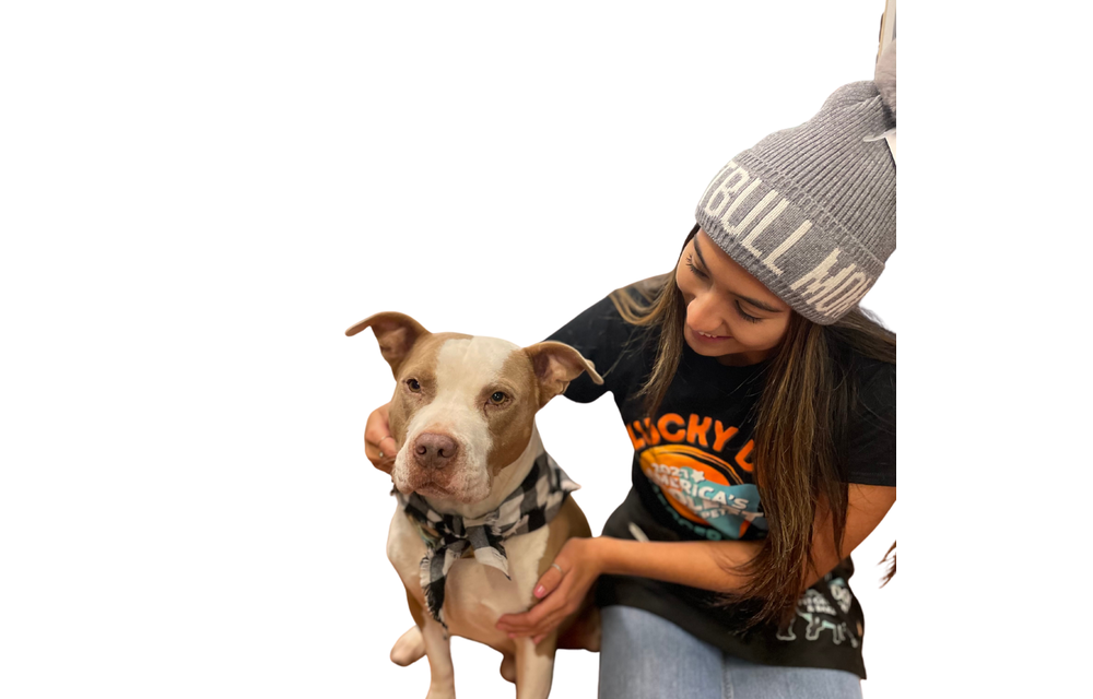 Pitbull Mom Grey & White Hat