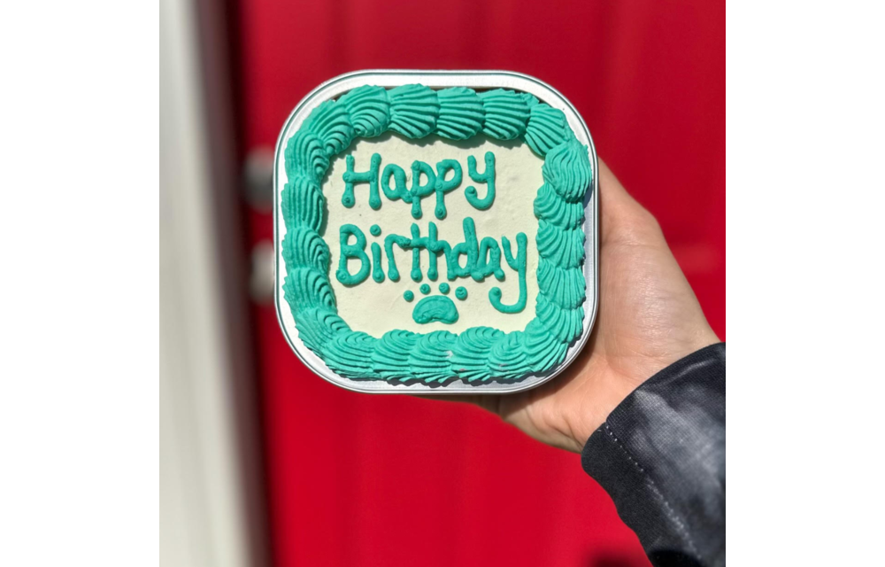 Lucky Dog $15 Baby Birthday Cake
