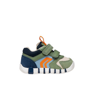 Geox Iupidoo B.D Olive/Navy