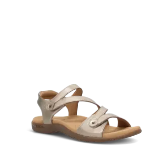 Taos Big Time Champagne