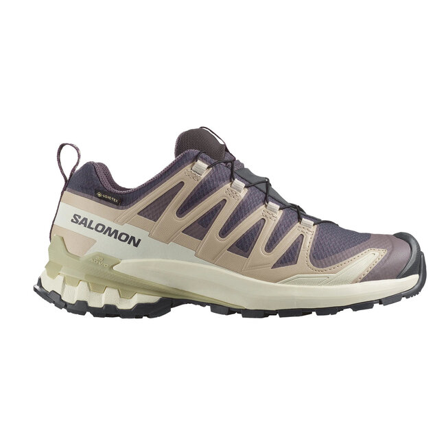 Salomon XA Pro3D v9 GTX Nine Iron/Oxford Tan/Alfalfa