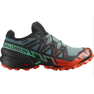 Salomon Speedcross 6 GTX North Atlantic / Black / Cherry Tomato