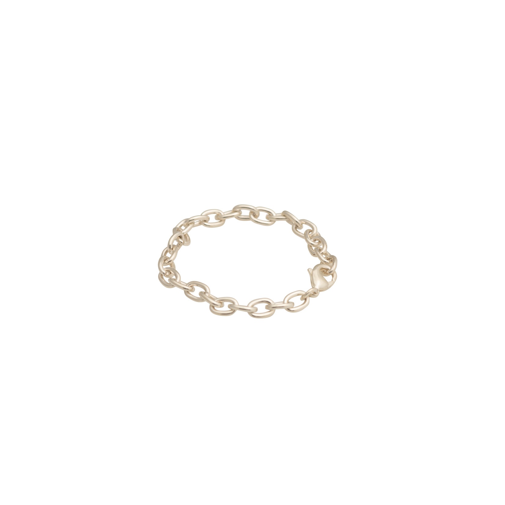 Charm Bracelet (silver)