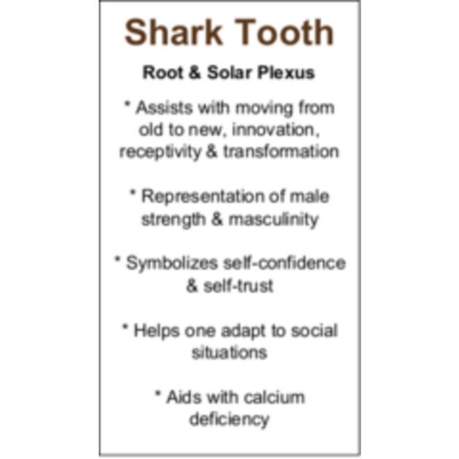 Shark Tooth Cards - Box of 250