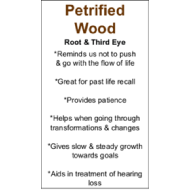 Petrified Wood Cards - Box of 100