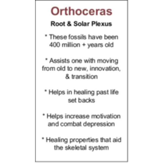 Orthoceras Cards - Box of 100