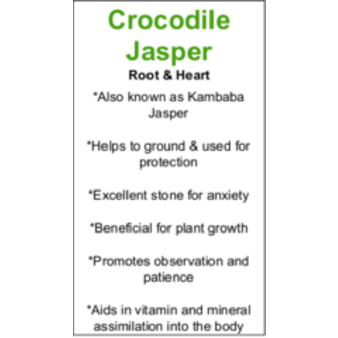 Crocodile Jasper Cards - Box of 250