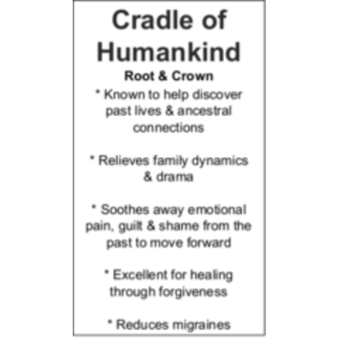 Cradle of Humankind Cards - Box of 100